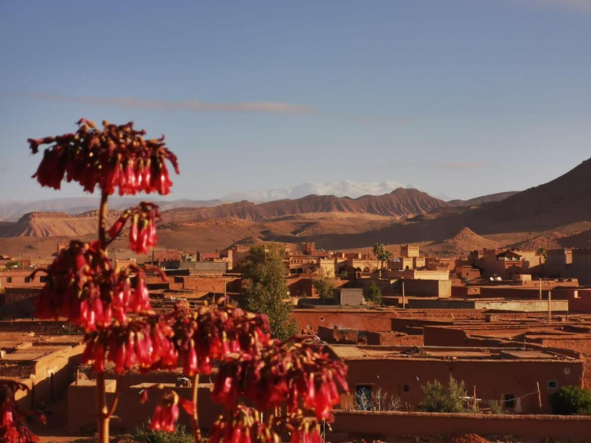 Riad Tigmi Du Soleil Ait Benhaddou Exterior foto