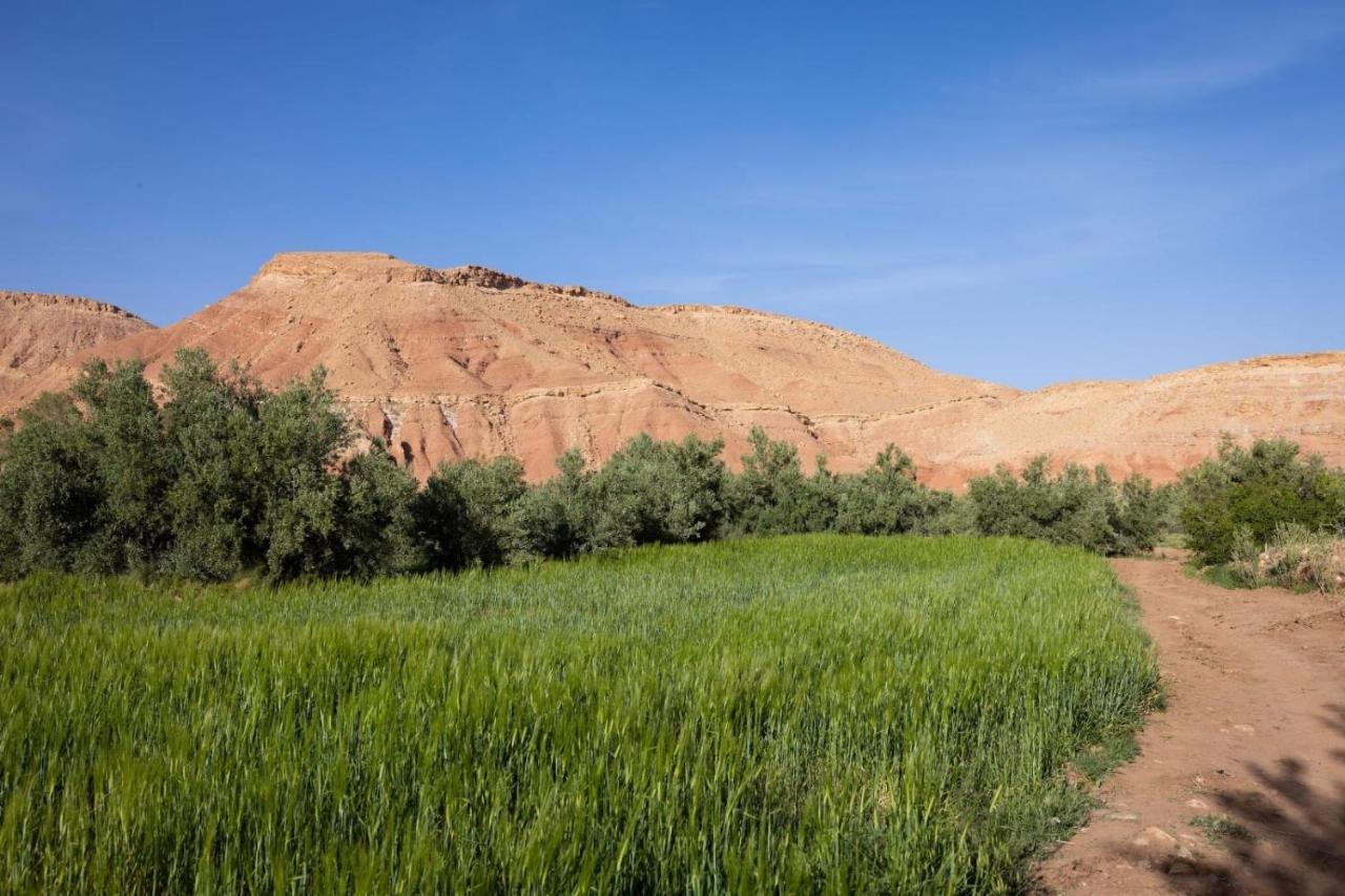 Riad Tigmi Du Soleil Ait Benhaddou Exterior foto