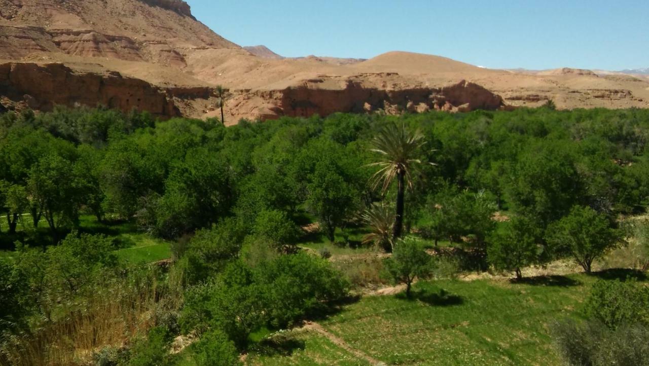 Riad Tigmi Du Soleil Ait Benhaddou Exterior foto